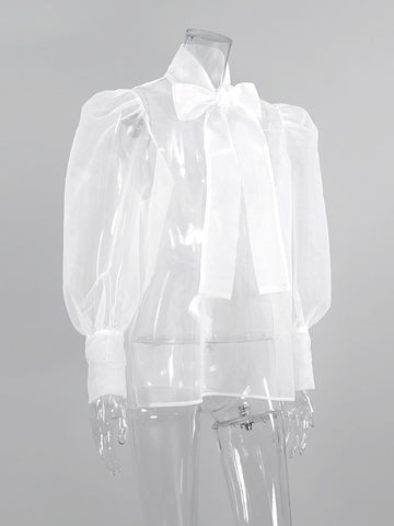 Sheer Puffy Sleeve Bow Blouse