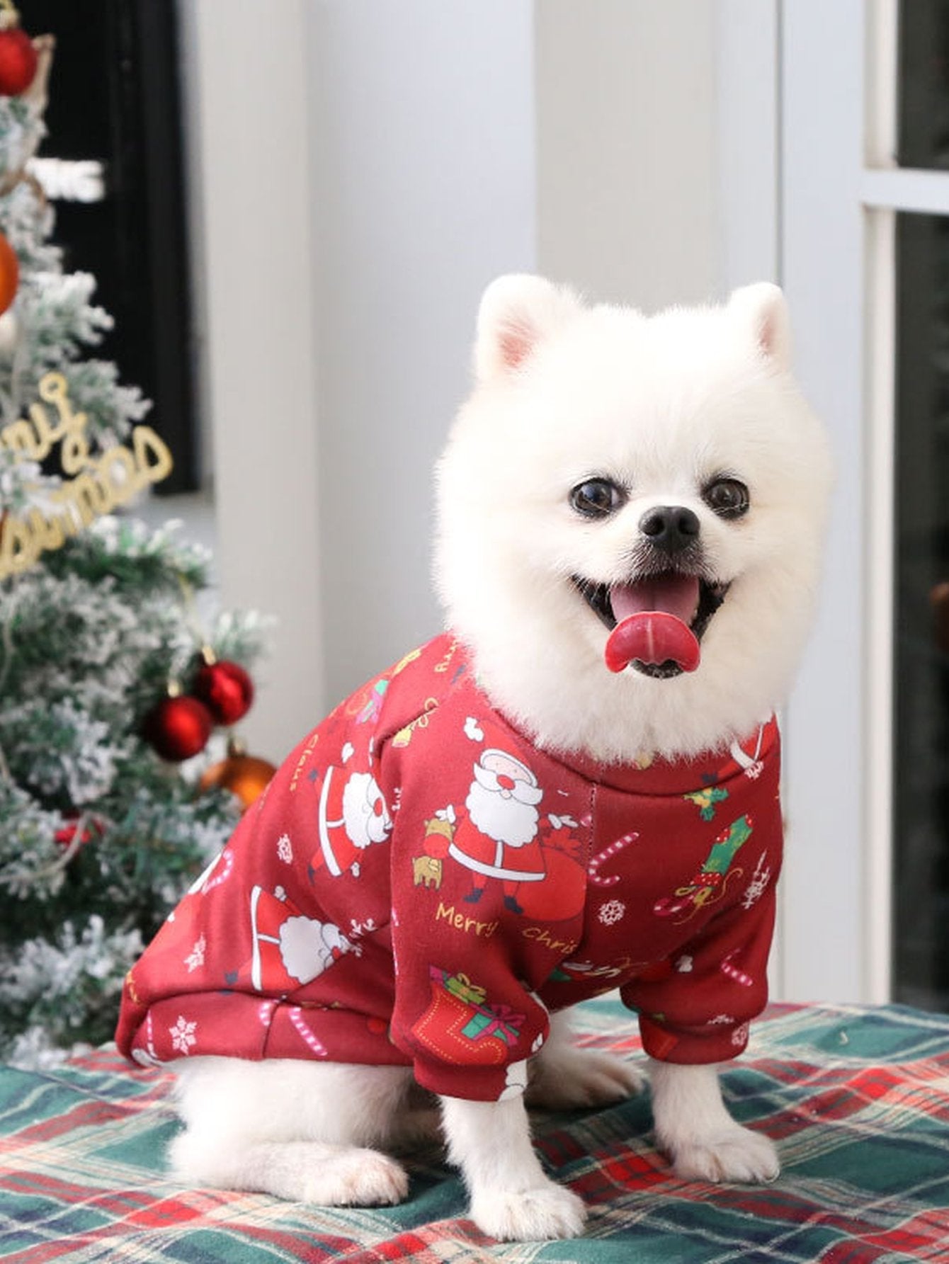 Cozy Festive Santa Cat Sweater
