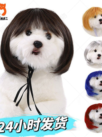 Funny Realistic Bob Wig Dog Toy