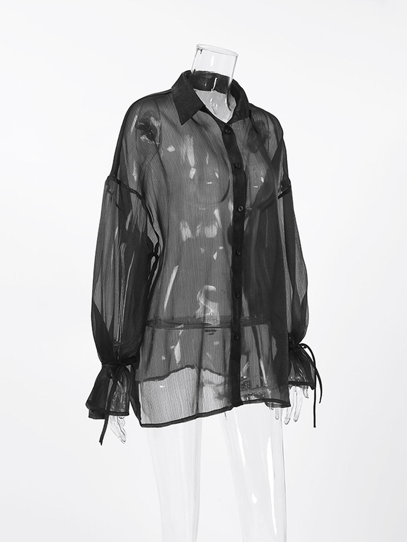 Sheer Balloon Sleeve Button Up Shirt