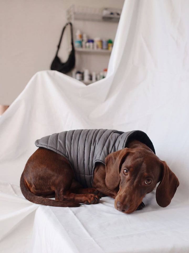 Warm Fleece Lined Dog Puffer Coat
