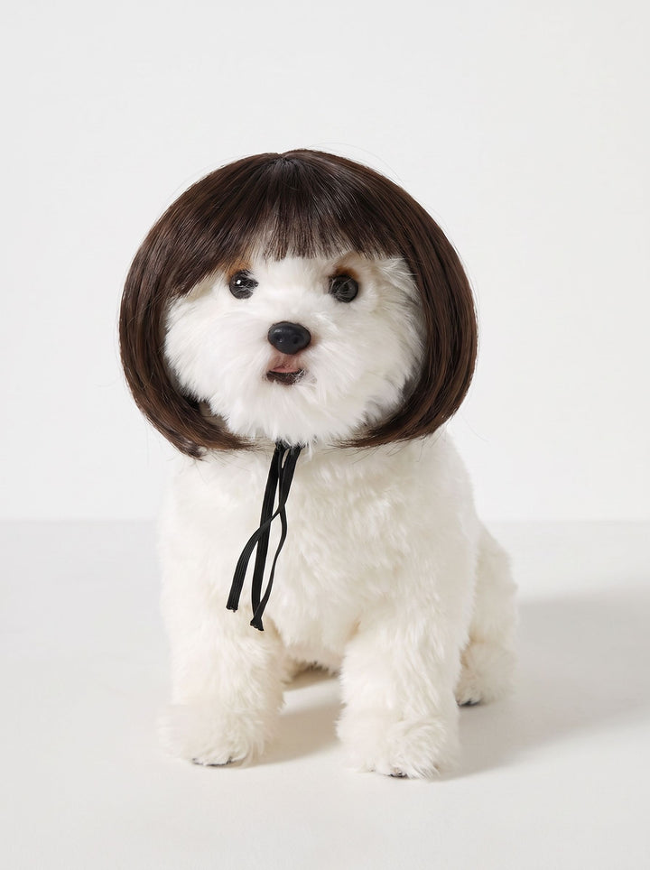 Funny Realistic Bob Wig Dog Toy