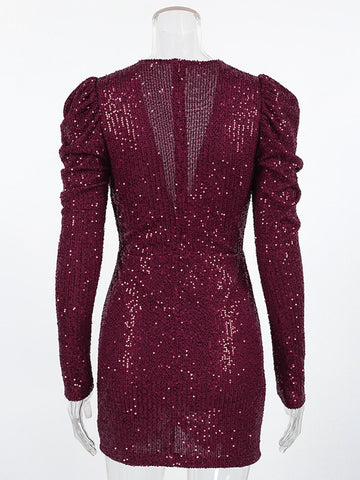 Deep V Neck Ruched Sequin Dress