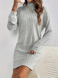 Cozy Ribbed Mock Neck Sweater Dress