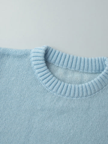 Soft Sheer Knit Crewneck Sweater