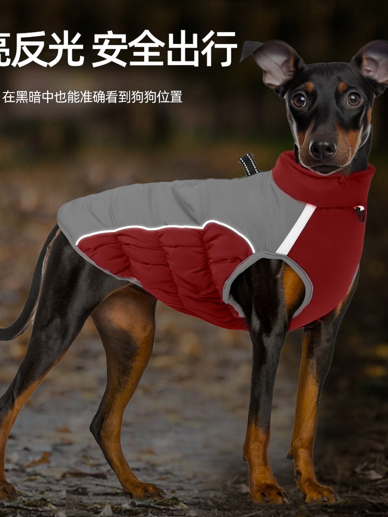 Waterproof Insulated Winter Dog Coat