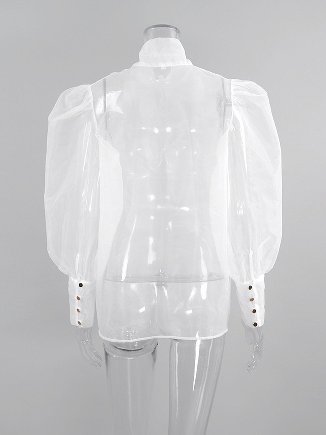Sheer Puffy Sleeve Bow Blouse