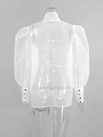 Sheer Puffy Sleeve Bow Blouse
