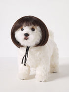 Funny Realistic Bob Wig Dog Toy
