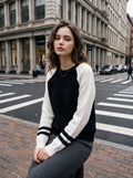 Colorblock Striped Sleeve Crewneck Sweater