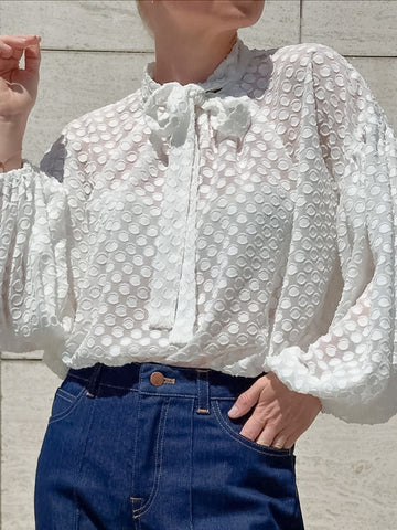 Sheer Polka Dot Tie Neck Blouse