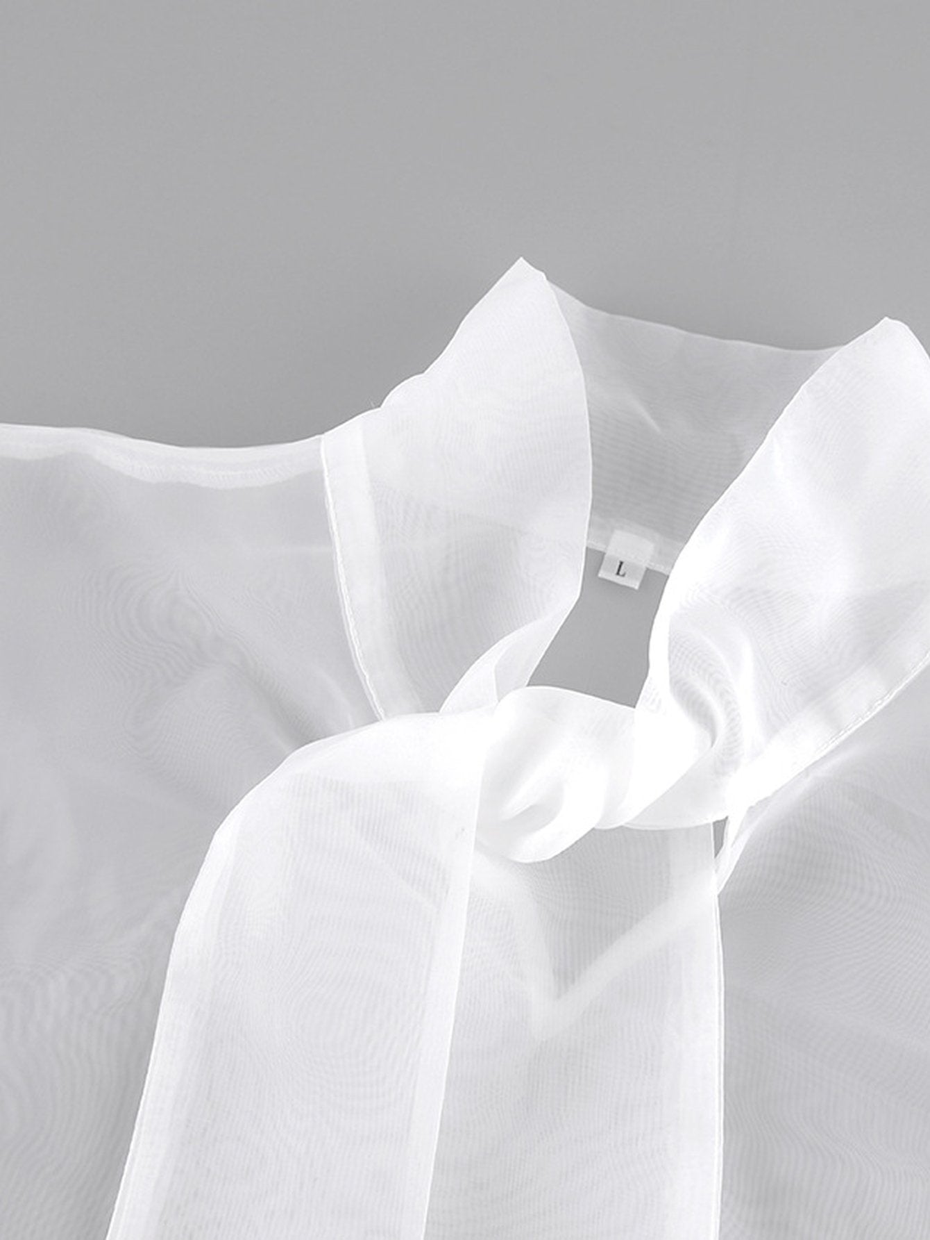 Sheer Puffy Sleeve Bow Blouse