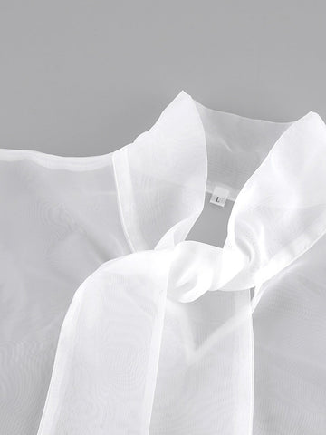 Sheer Puffy Sleeve Bow Blouse