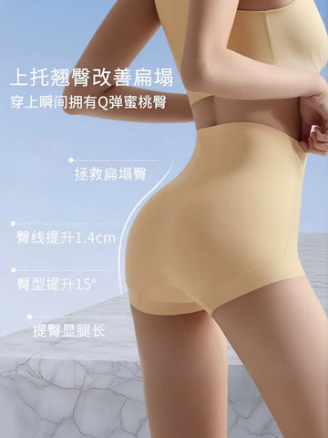 Seamless High Waisted Tummy Control Panties