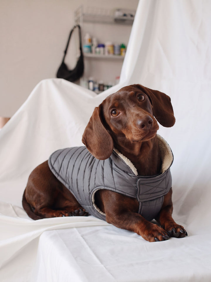 Warm Fleece Lined Dog Puffer Coat