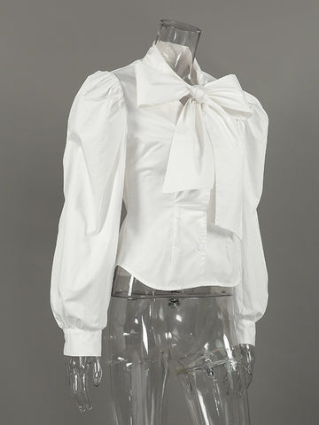Puff Sleeve Bow Tie Blouse