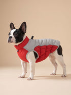 Waterproof Insulated Winter Dog Coat
