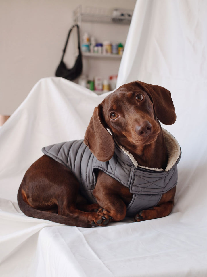 Warm Fleece Lined Dog Puffer Coat