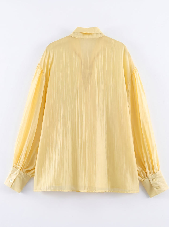Elegant Satin Tie Neck Blouse