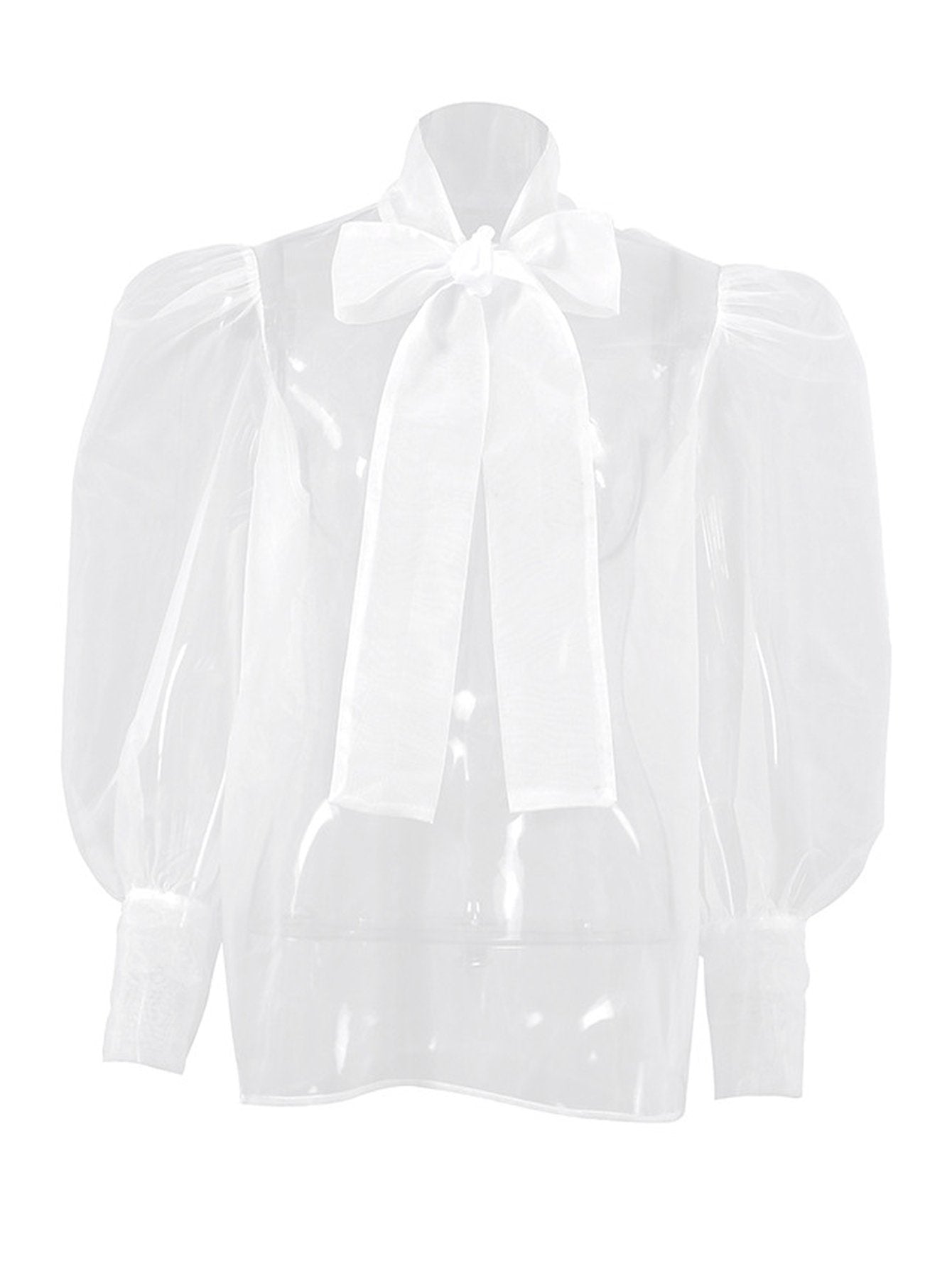 Sheer Puffy Sleeve Bow Blouse