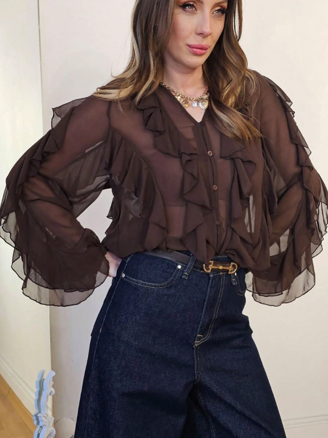 Sheer Ruffle Trim Button Down Blouse