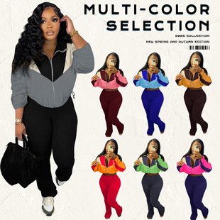 Colorblock Zipper Casual Pant Set