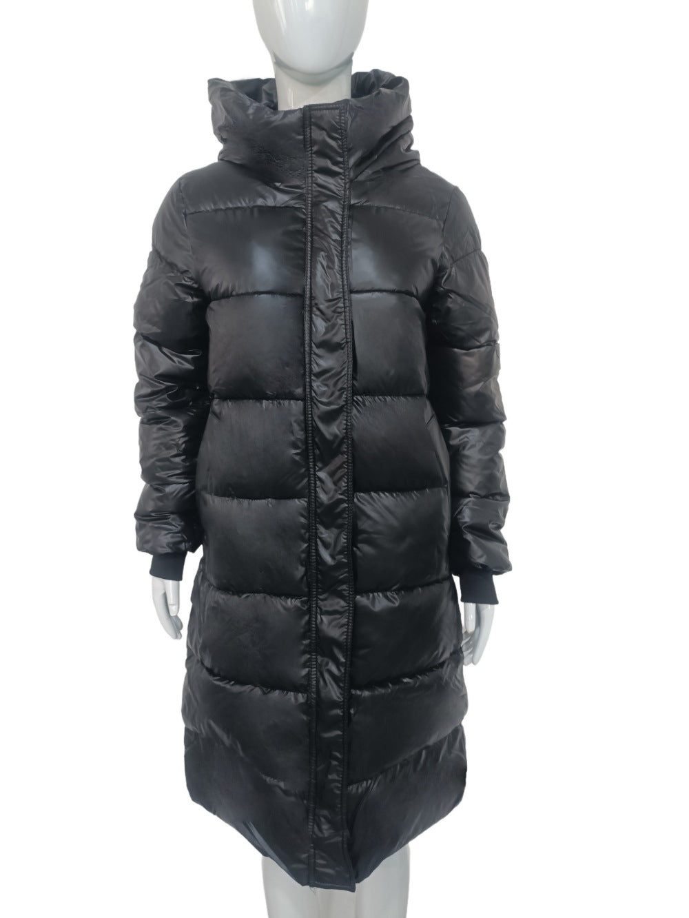 Hooded Shiny Long Puffer Coat