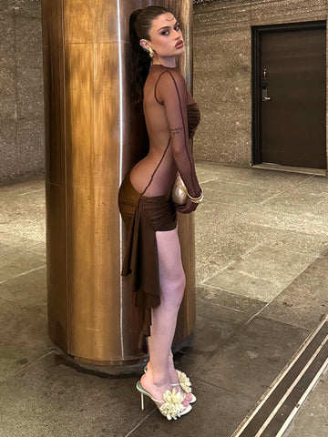 Sheer Mesh Light Thin Modern Mini Dress