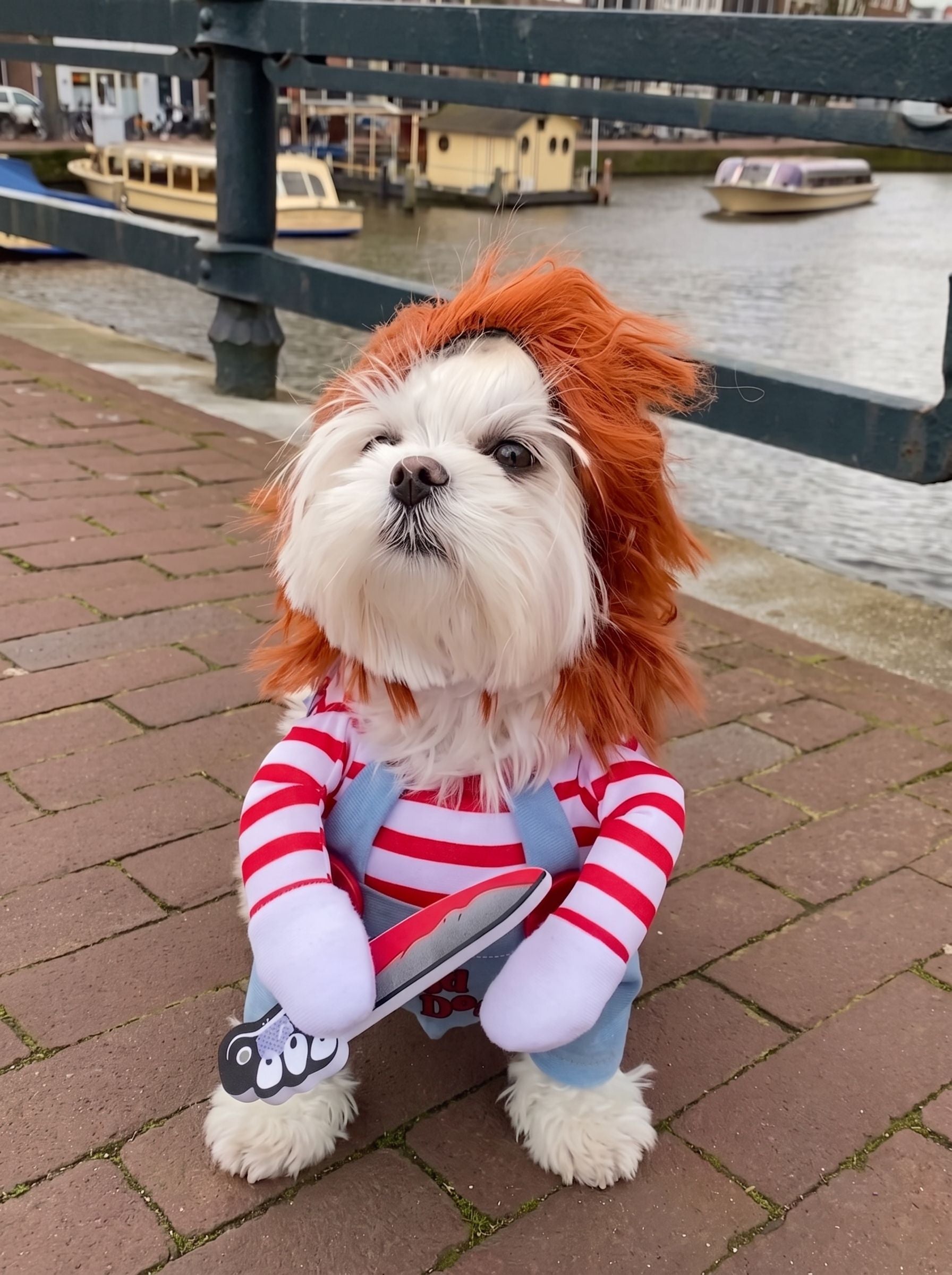 Funny Spooky Chucky Pet Costume