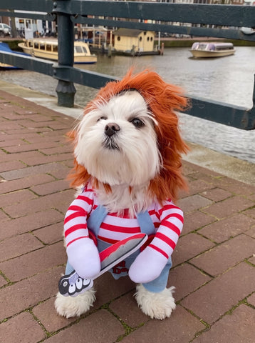 Funny Spooky Chucky Pet Costume