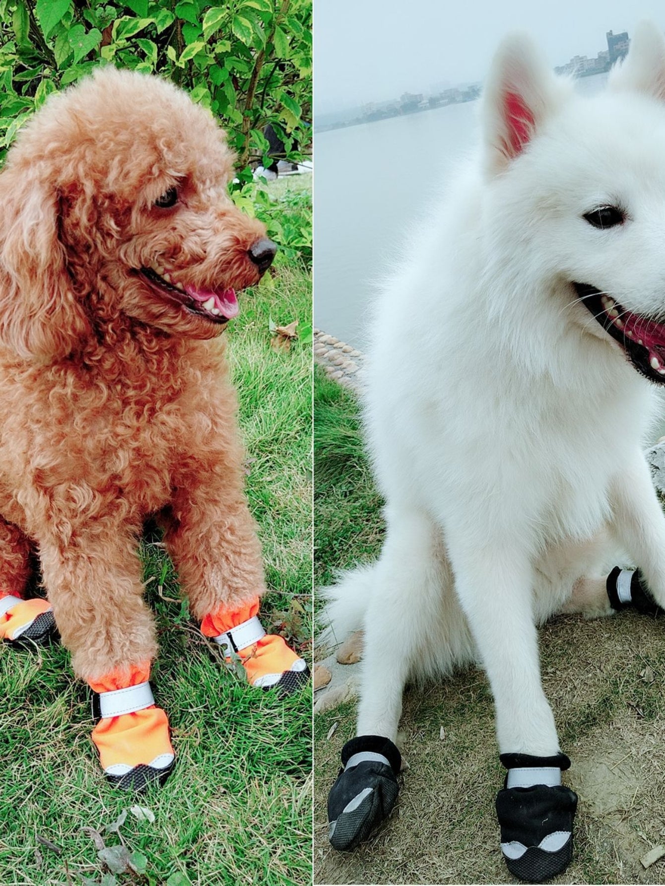 Waterproof Non Slip Reflective Dog Shoes