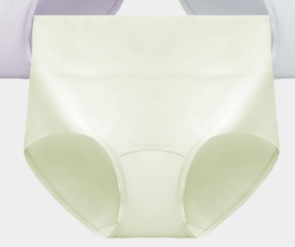 Seamless High Waisted Women Panties