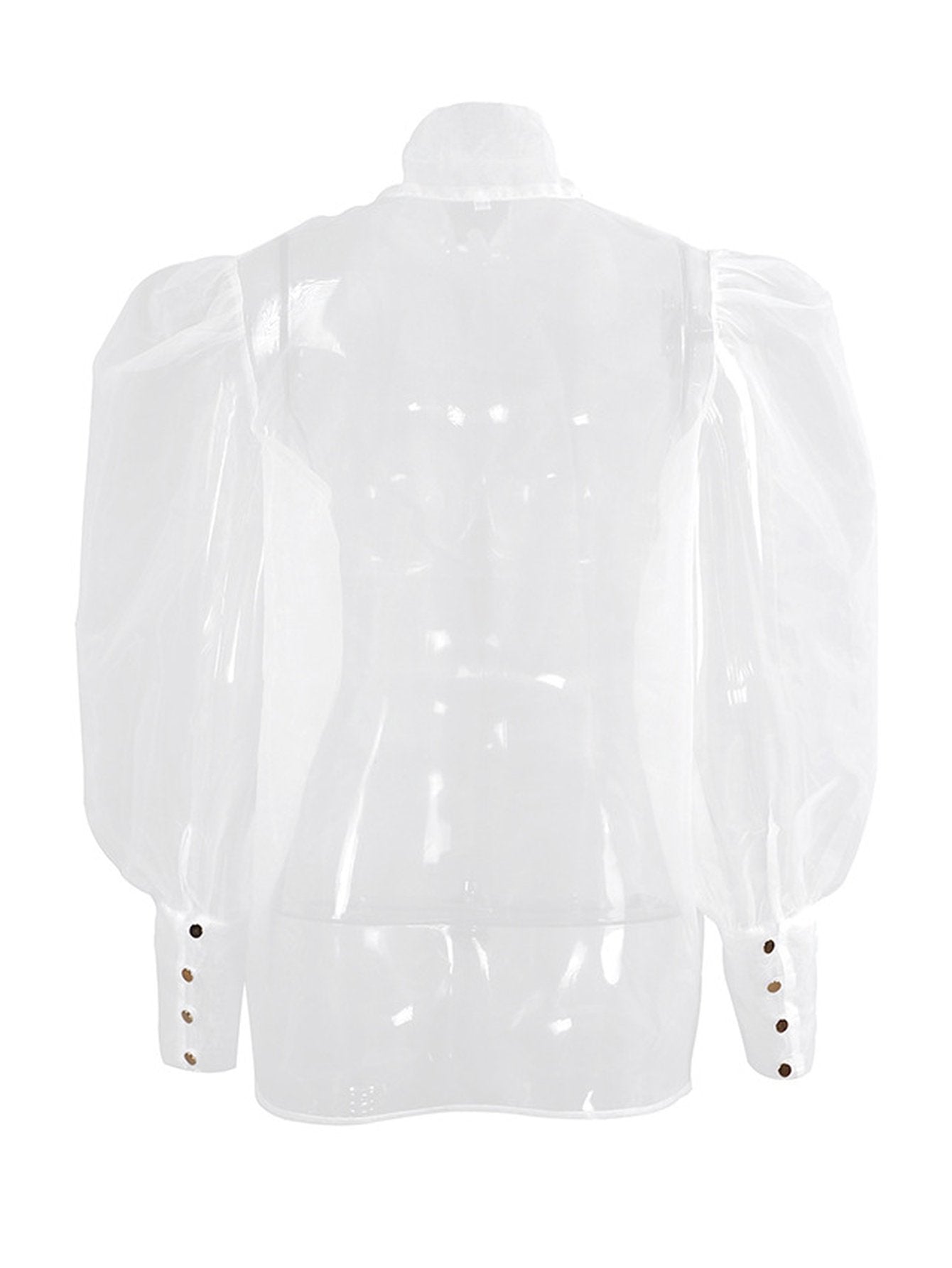 Sheer Puffy Sleeve Bow Blouse