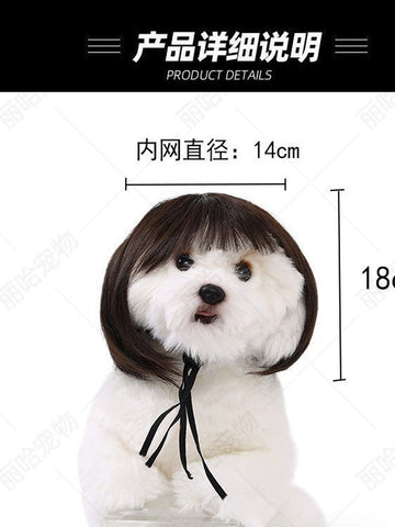 Funny Realistic Bob Wig Dog Toy
