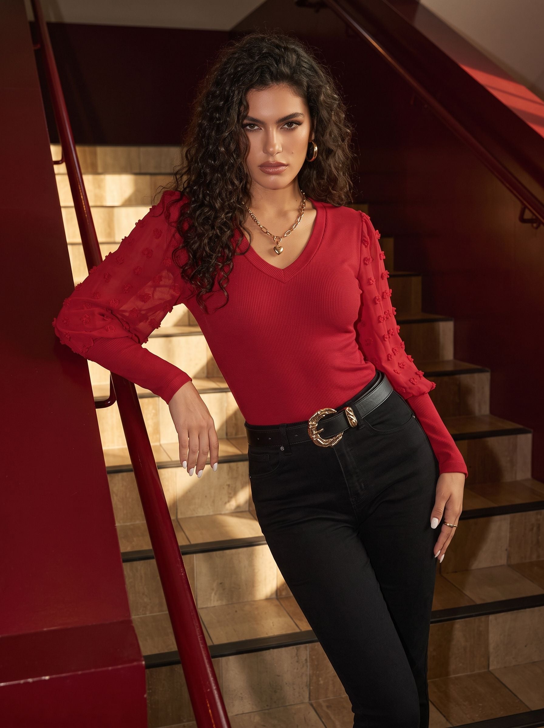 Elegant Swiss Dot Sleeve V Neck Top