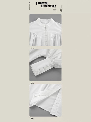 Elegant Balloon Sleeve Button Down Blouse