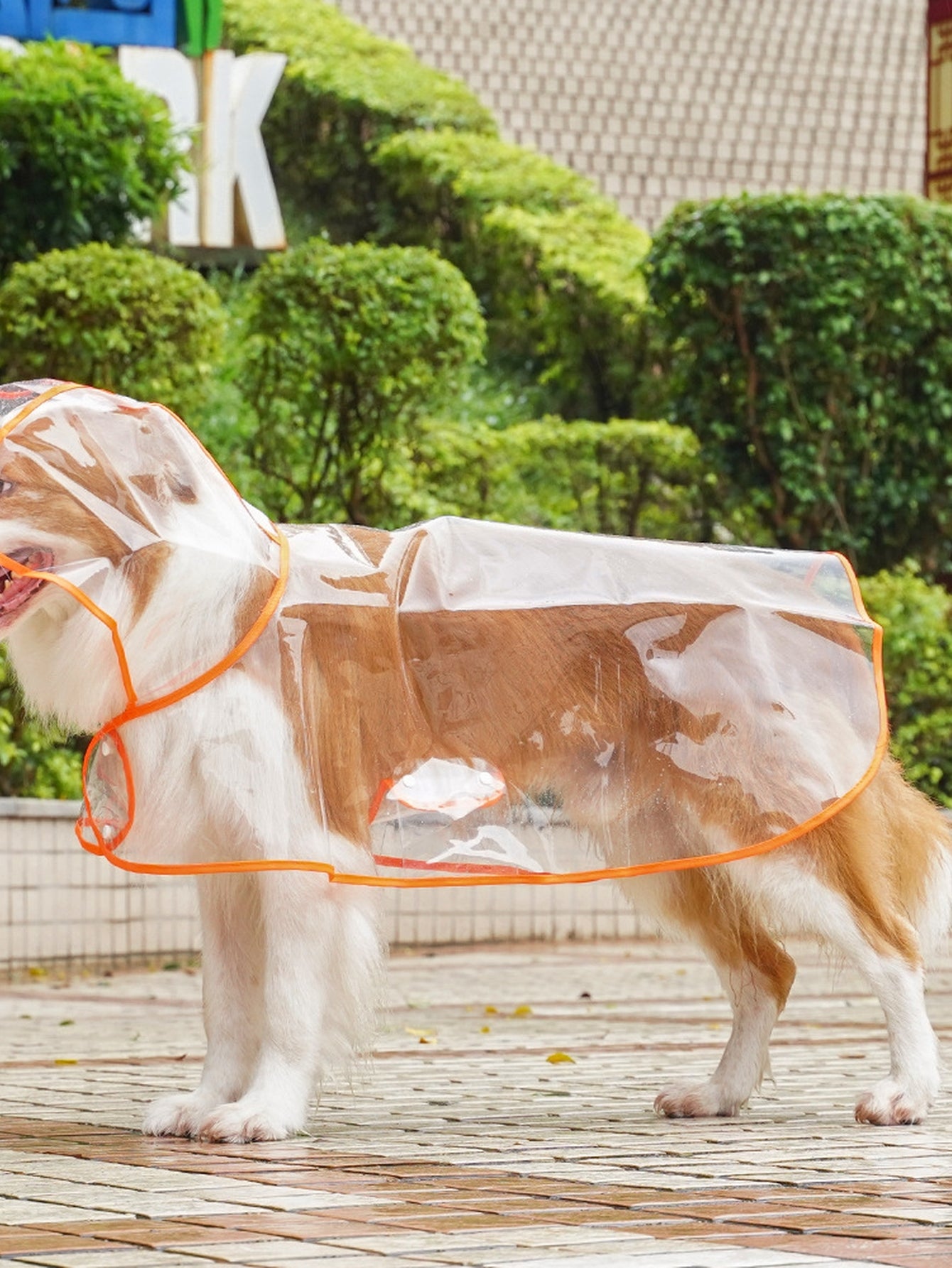 Clear Waterproof Hooded Dog Raincoat