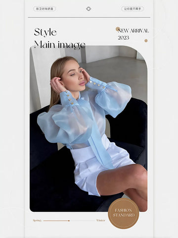 Sheer Puffy Sleeve Bow Blouse