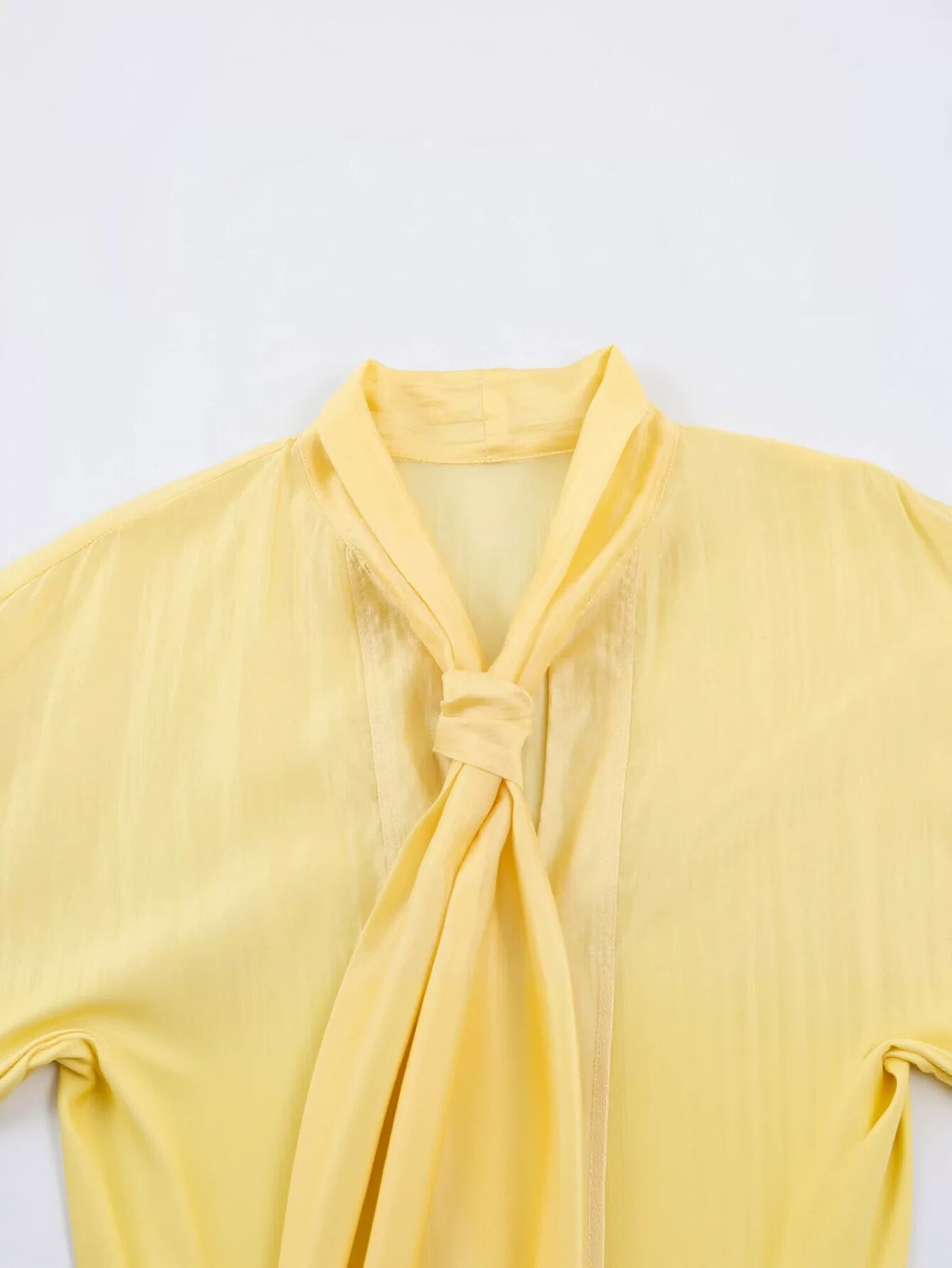 Elegant Satin Tie Neck Blouse