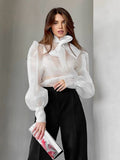 Sheer Puffy Sleeve Bow Blouse