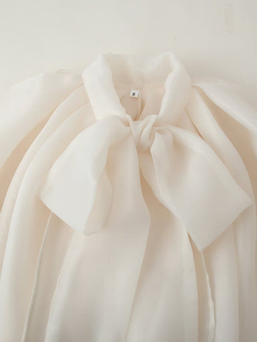 Elegant Bow Tie Chiffon Blouse